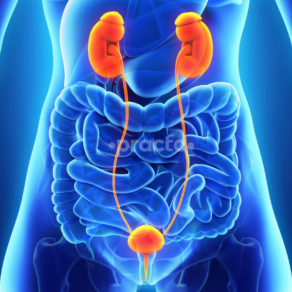 sinha best hospital in bettiah | best gynaecology hospital in bettiah | best laparoscopy hospital in bettiah |